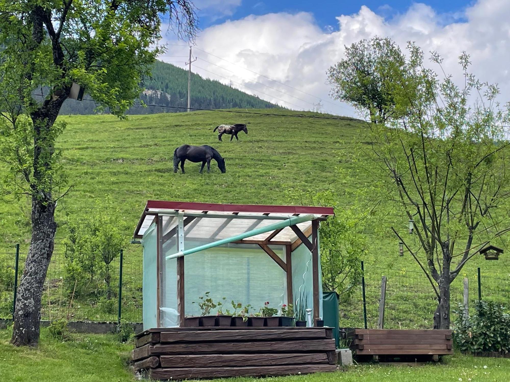 Apartment Sonne&Luft Bad Bleiberg Dış mekan fotoğraf